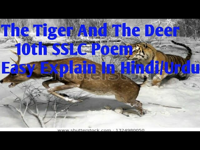 10th english 3rd language 2 the tiger and the deer
