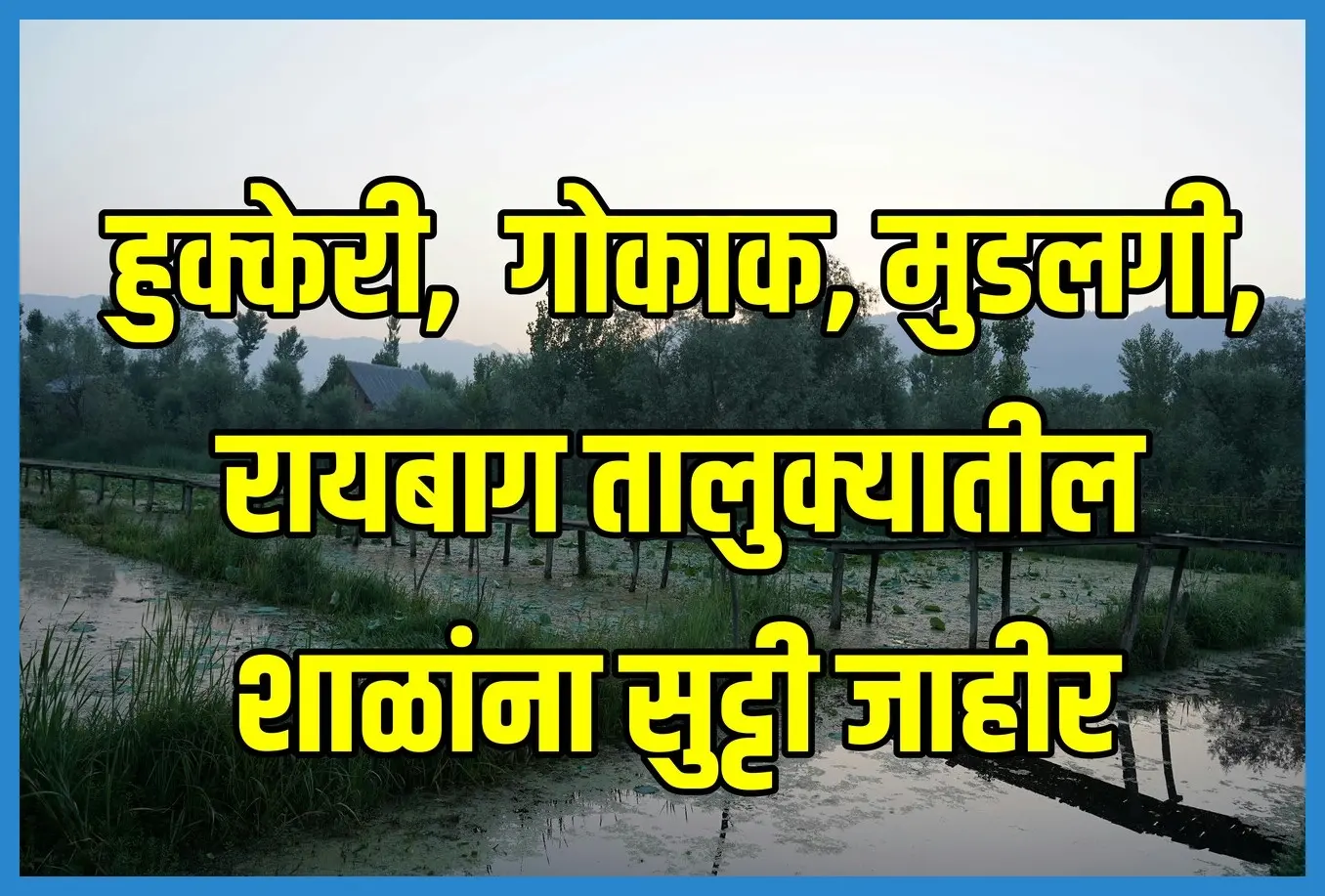 imageedit 4 2749567328