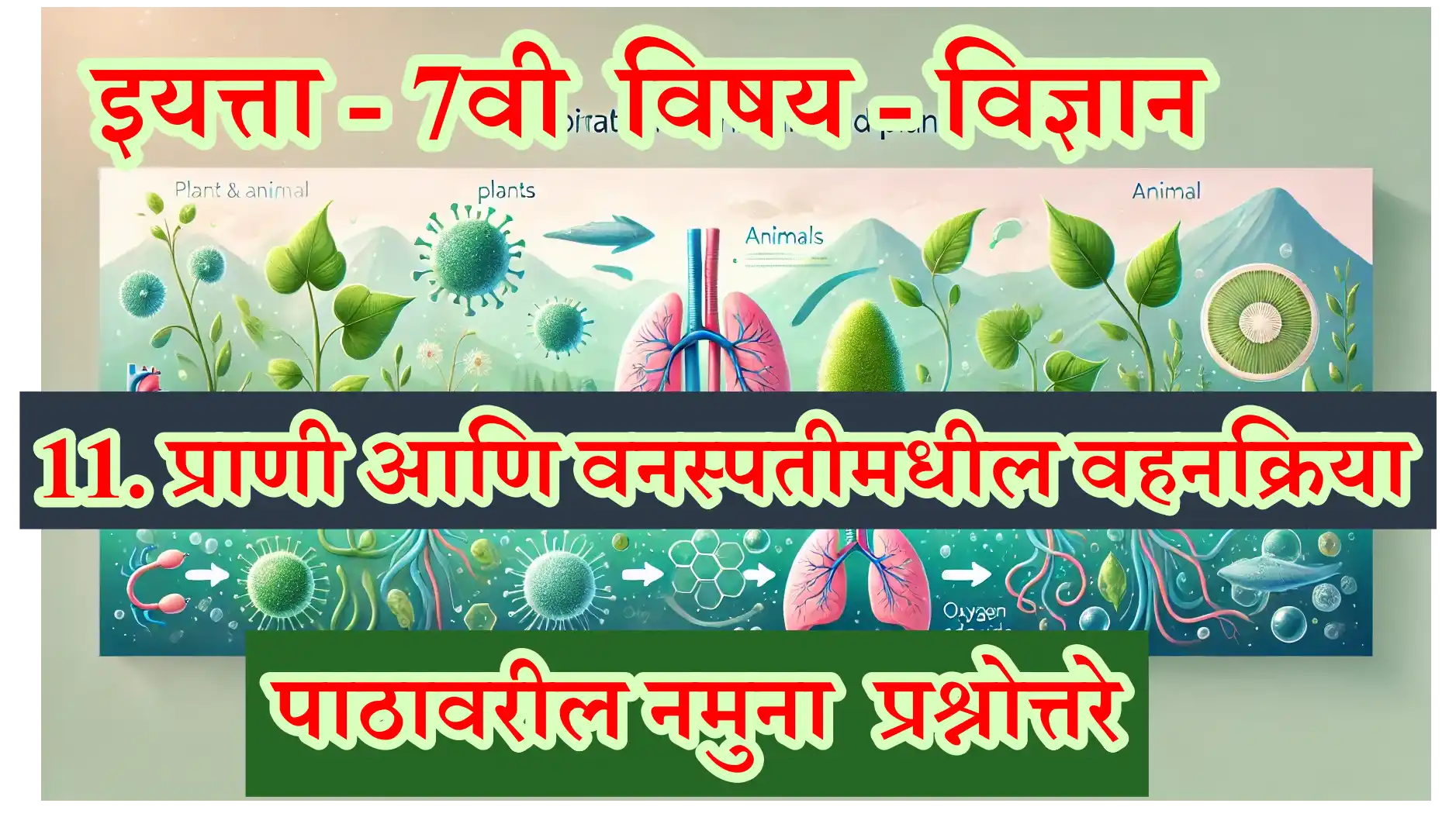 Respiration in Animals and Plants smartguruji.in